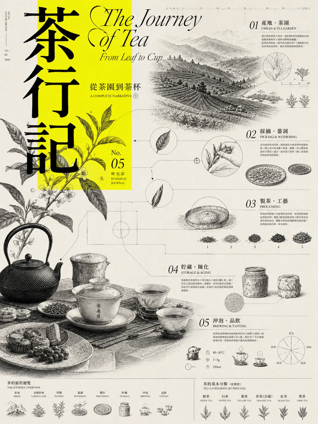 茶叶从茶园到茶杯
