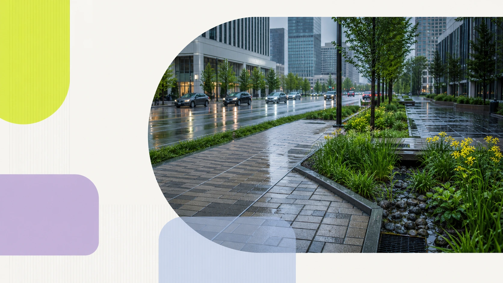 城市雨水循环